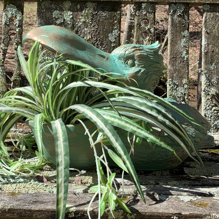 HomeStyles Life's a Beach Pelican Mouth Planter Statue Wayfair Canada